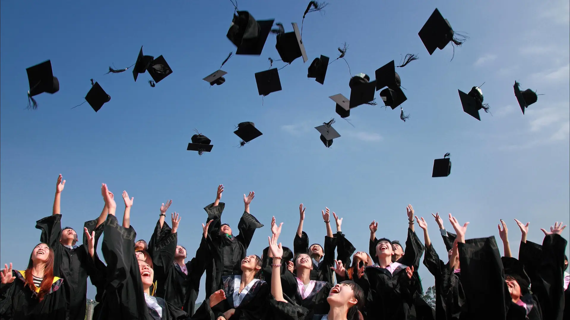 Sezione TAH Academy